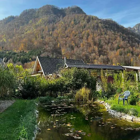 4 Elements & Glamping Camping *